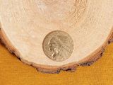 a small coin sitting on top of a piece of wood