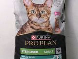the cat is sitting on the floor next to a bag of prop plan cat food