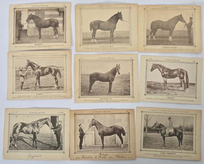 several old black and white photographs of horses in a field