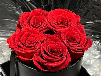 Coffrets de 5 roses naturelles « éternelles » teintées ou lyophilisées