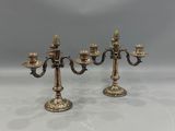 a pair of antique brass candlesticks