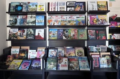 beaucoup de livres sur les étagères de la pièce