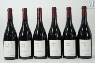 six bouteilles de vin sont alignées sur une table
