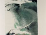 a picture of a picture of a bird flying over the water