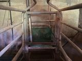 an image of a view from the bottom of a metal staircase