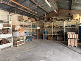 a garage with a lot of items on the shelves