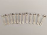 six forks are arranged in a row on a white surface