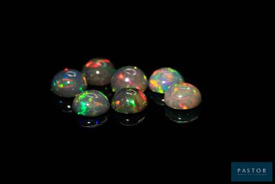 un groupe d'oplites sur fond noir