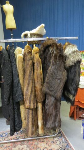 Lot de fourrures : 2 astrakans, un manteau en lapin, un en rat d’...