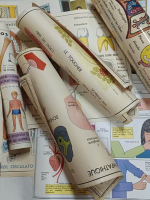 several rolls of toilet paper with pictures of people on them