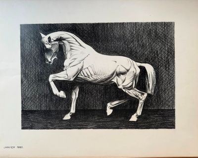 un dessin représentant un cheval debout sur ses pattes arrière