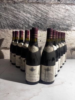 several bottles of wine are lined up in a row in front of a stone wall
