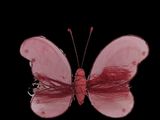 a pink butterfly that is sitting on a black surface