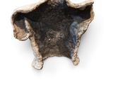 an image of a black and white bowl on a white surface