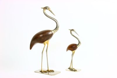 deux oiseaux qui se tiennent l'un à côté de l'autre