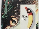 an image of a book with a picture of a fish and a fishing lure