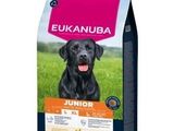 Aliments pour chiens de grande race Eukanuba Junior