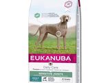 Alimentation Eukanuba Daily Care Sensitive pour chiens adultes de grande race