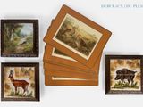 quatre images d'animaux accrochées au mur et une image représentant un cerf