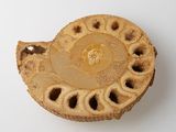 a piece of pie on a white surface with holes in it