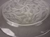 a glass plate with a design on it on a table