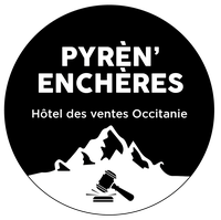 Hôtel des ventes Occitanie - Pyren'encheres