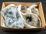 boîtes contenant des échantillons de roches et de minéraux posées sur une surface noire
