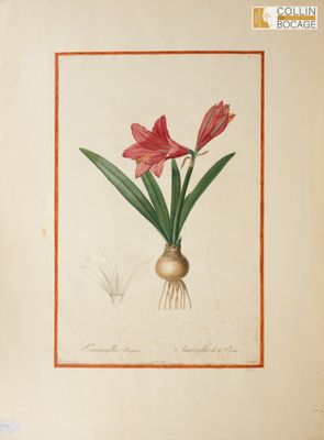 la photo d'une photo d'une fleur dans un vase