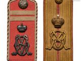an image of a pair of military badges on a red and gold case