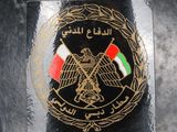 the emblem of the united states of america and iraq on the back of a car