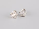 a pair of white gold and diamond star earrings