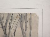 a picture of a picture of a tree with no leaves