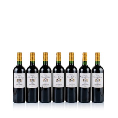 six bottles of red wine lined up in a row