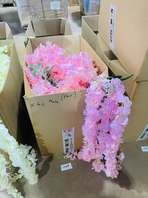 many boxes of flowers that are sitting on the floor