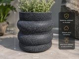 un gros plan d'une jardinière contenant différentes espèces de plantes