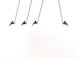 quatre oiseaux qui volent ensemble dans le ciel