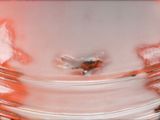 a close up of a glass jar with a fly on it