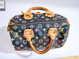 louis vuitton multicolore speedy bag with wooden handle