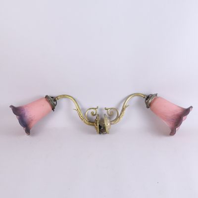 une paire d'appliques roses et dorées sur fond blanc