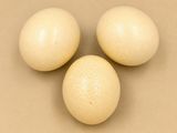 trois œufs blancs posés les uns à côté des autres sur une table