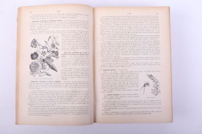 VILMORIN-ANDRIEUX Les fleurs de pleine terre comprenant la d…