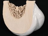 un vase blanc coupé en deux sur fond noir