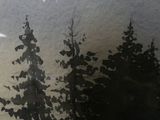 a black and white photo of a silhouette of a tree