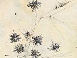 l'image d'un dessin représentant un bouquet de fleurs sur une table