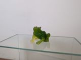 une grenouille en plastique posée sur une table en verre