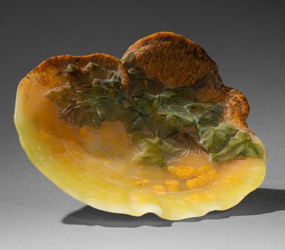 une image montrant un gros plan d'un fruit posé sur une table