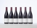 six bottles of red wine lined up in a row