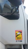 *CAMION FOURGON RENAULT MIDLUM 270 DXi AVEC HAYON DHOLLANDIA… (photo 6)