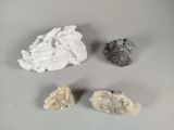three different types of rocks are shown on a white surface