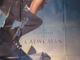 L'affiche du film « Catwoman » est accrochée au mur.